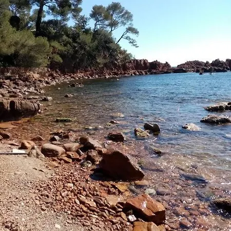 Les Orangers De Santa Lucia, Vue Et Port, St Raphael *